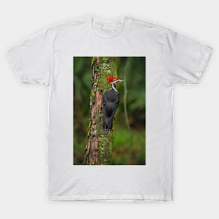 Pileated Woodpecker T-Shirt